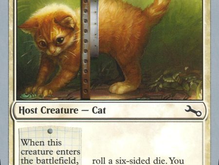 Adorable Kitten [Unstable] Cheap