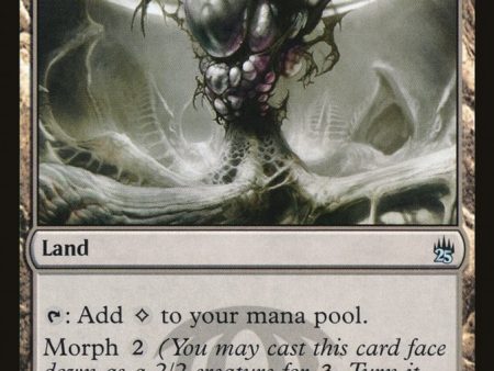 Zoetic Cavern [Masters 25] Supply